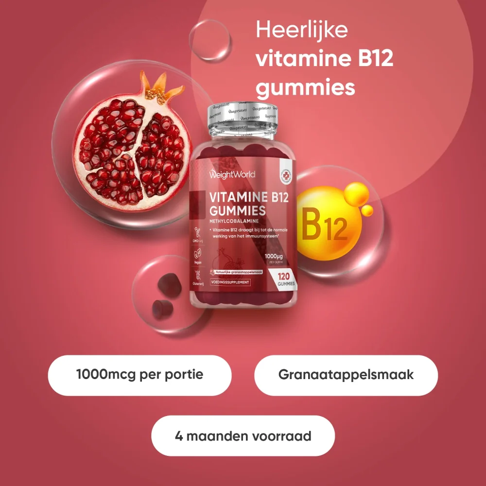 Miniatuur 2