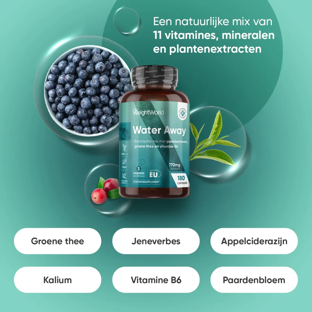 Miniatuur 2